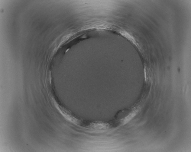 X0000070380205200606121301