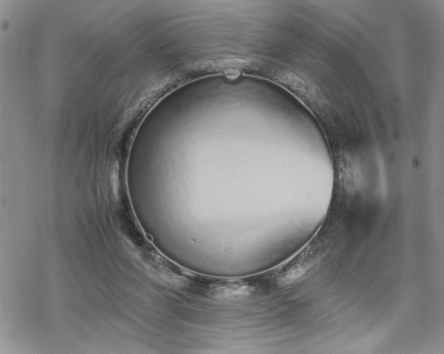 X0000070380206200606121301