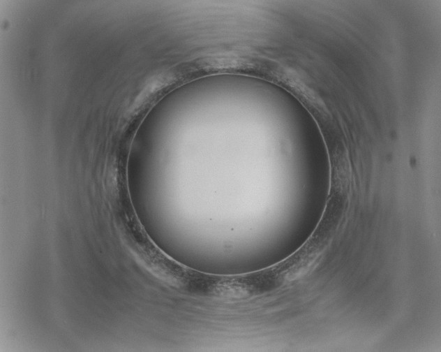 X0000070380207200606121301