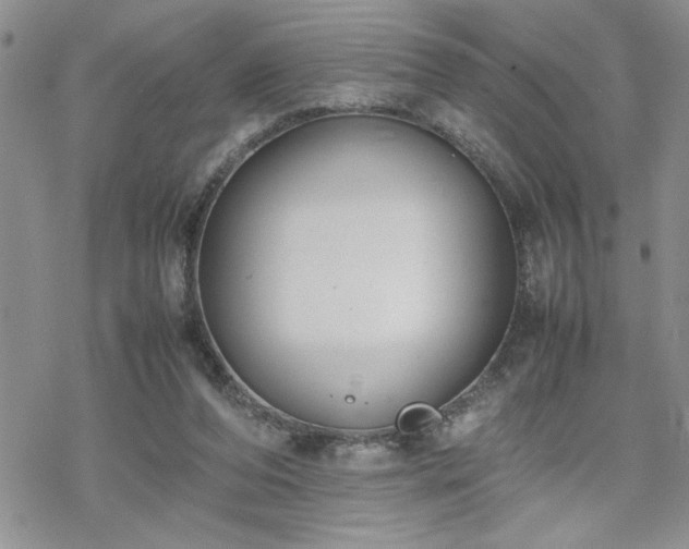 X0000070380208200606121301