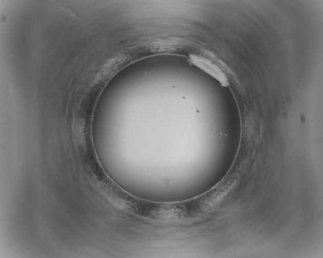 X0000070380209200606121301