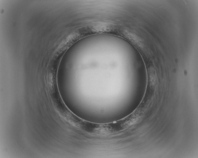 X0000070380211200606121301