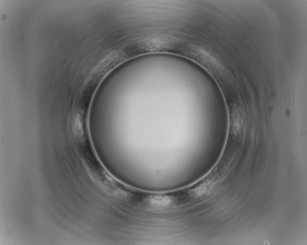 X0000070380214200606121301