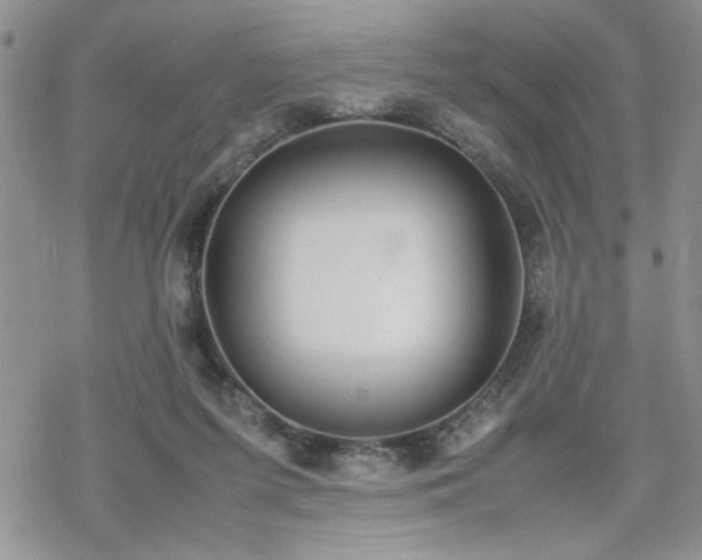 X0000070380215200606121301