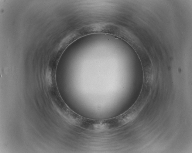 X0000070380216200606121301