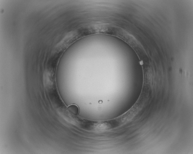 X0000070380218200606121301