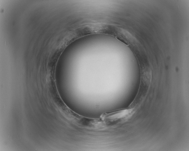 X0000070380221200606121301