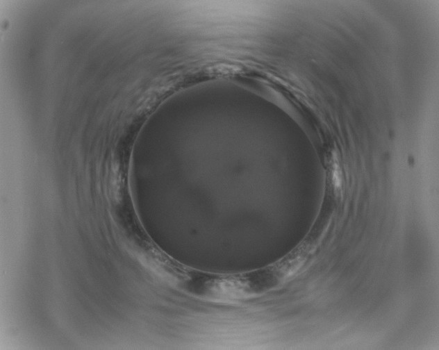 X0000070380223200606121301