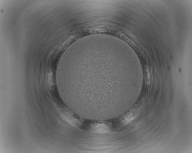 X0000070380224200606121301