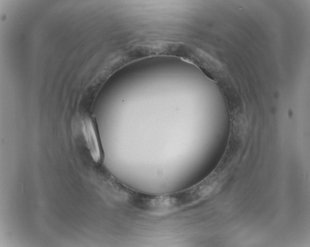 X0000070380225200606121300