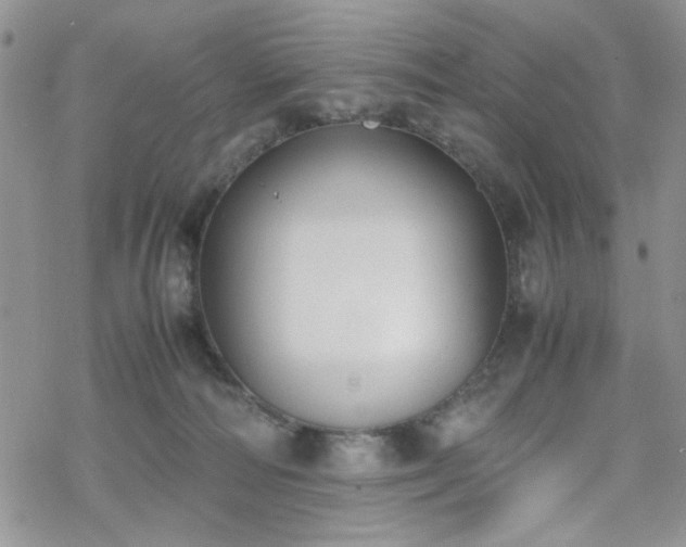 X0000070380226200606121300