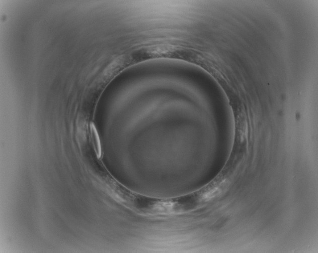 X0000070380227200606121300