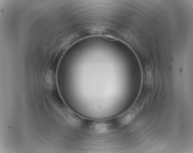 X0000070380228200606121300