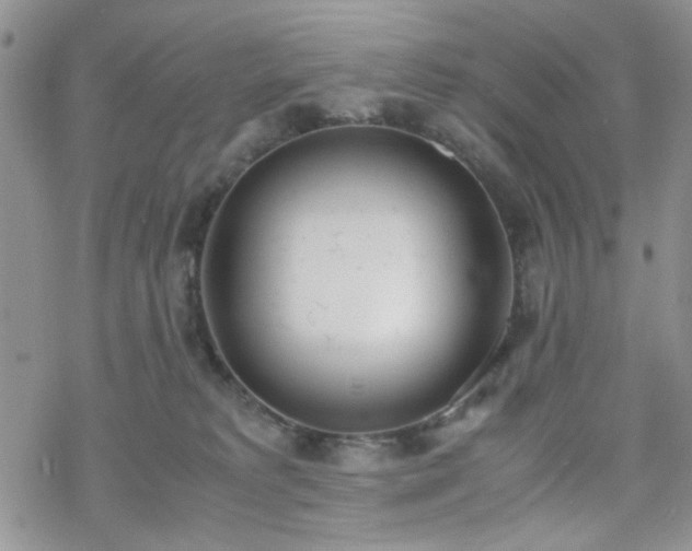 X0000070380229200606121300