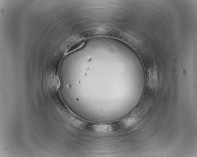 X0000070380230200606121300