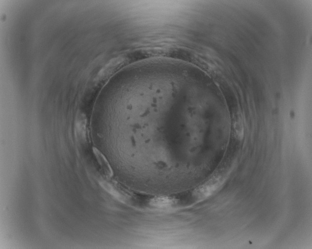 X0000070380231200606121300