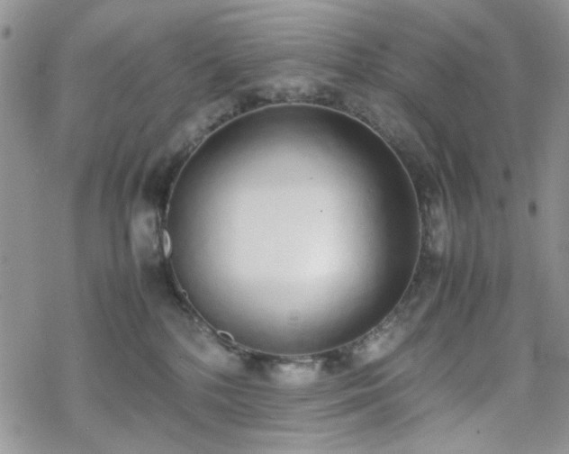 X0000070380232200606121300