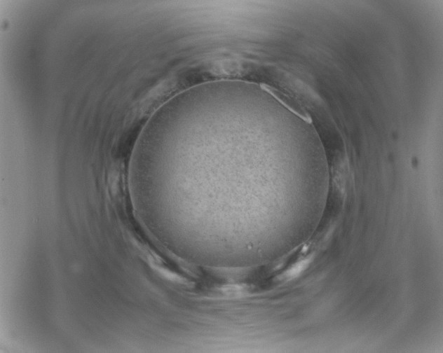 X0000070380233200606121300