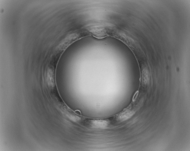 X0000070380234200606121300