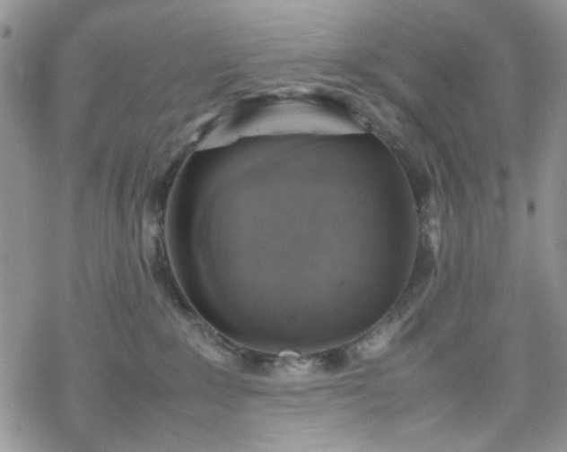 X0000070380235200606121300