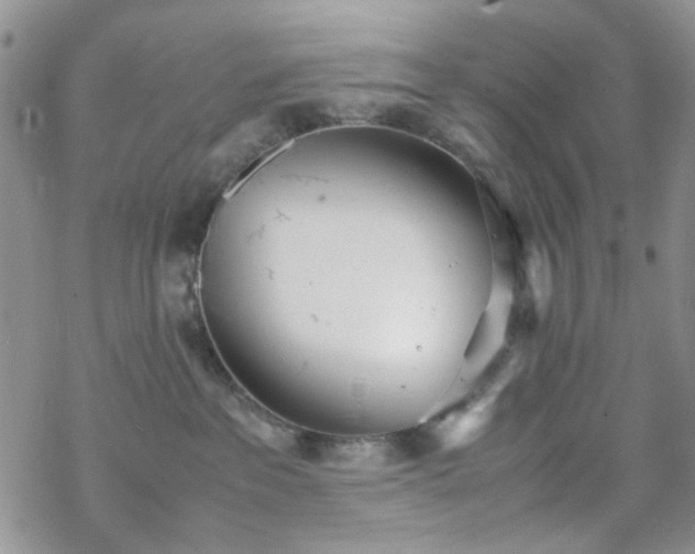 X0000070380237200606121300