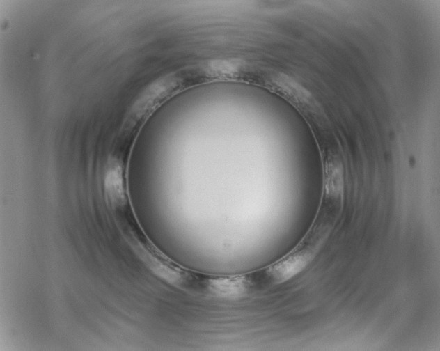 X0000070380238200606121300