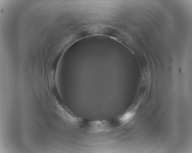 X0000070380239200606121300