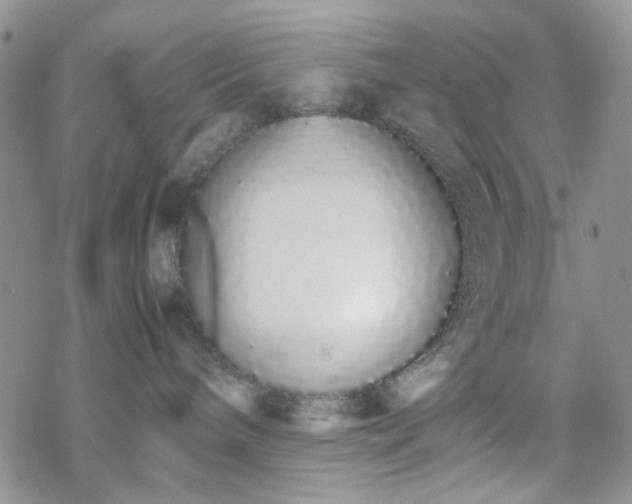 X0000070380240200606121300