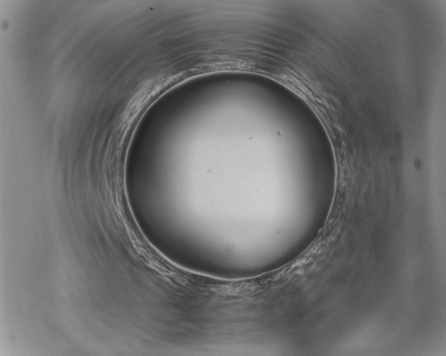 X0000070380241200606121259