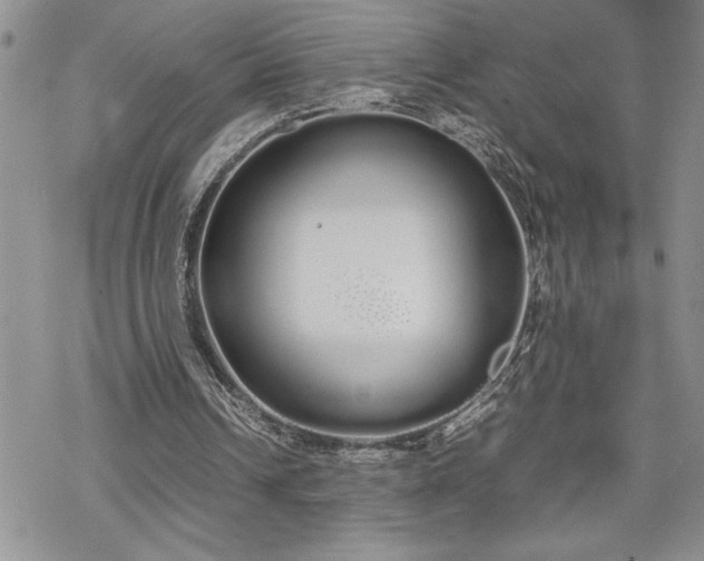 X0000070380242200606121259