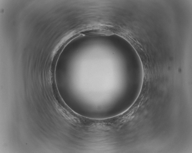 X0000070380244200606121300