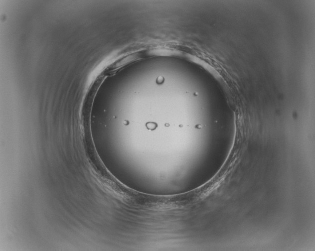 X0000070380246200606121300