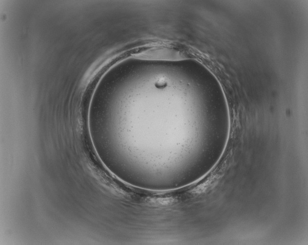 X0000070380247200606121300