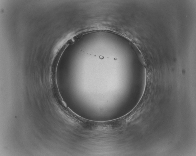 X0000070380248200606121300