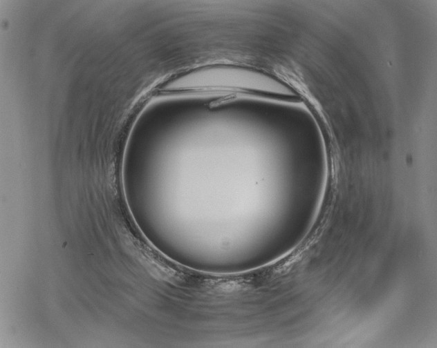 X0000070380249200606121300