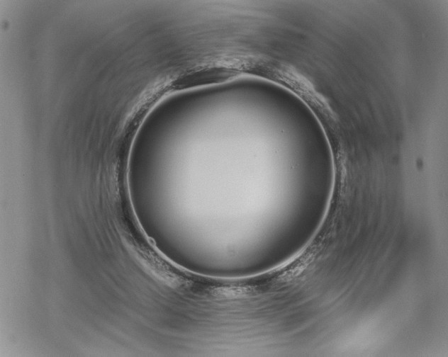 X0000070380250200606121300