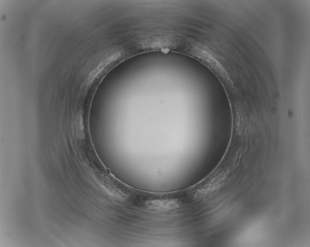 X0000070380251200606121300