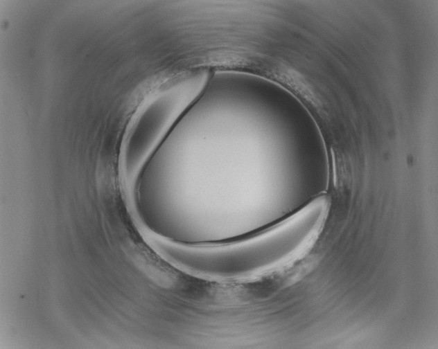 X0000070380252200606121300