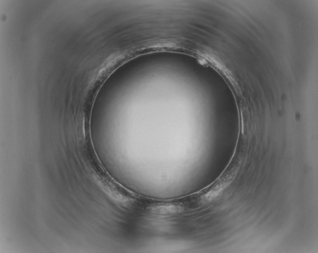 X0000070380253200606121300