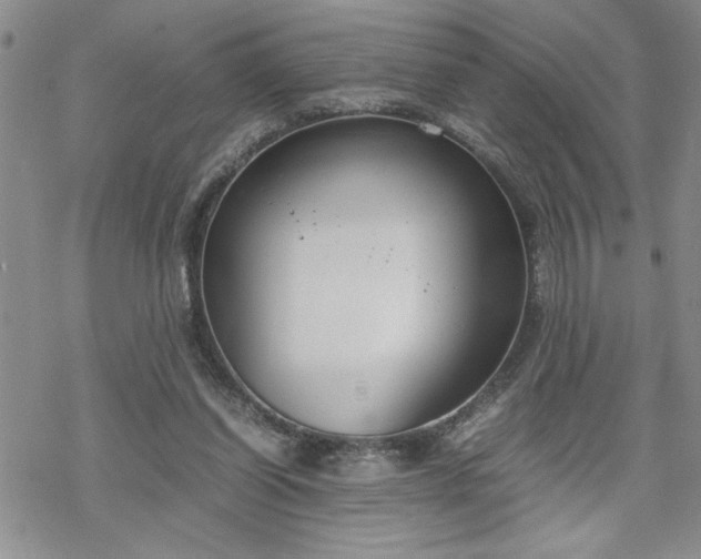 X0000070380254200606121300