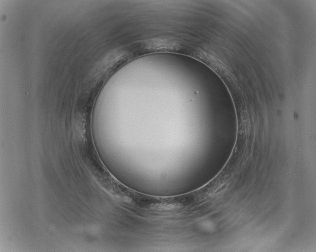 X0000070380255200606121300