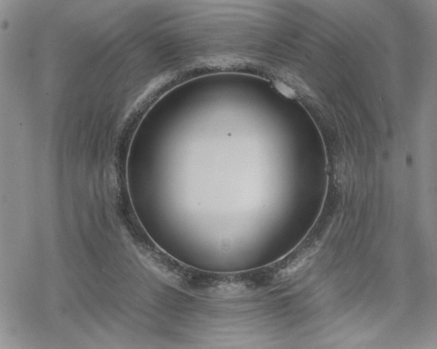 X0000070380256200606121300