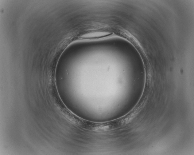 X0000070380257200606121300