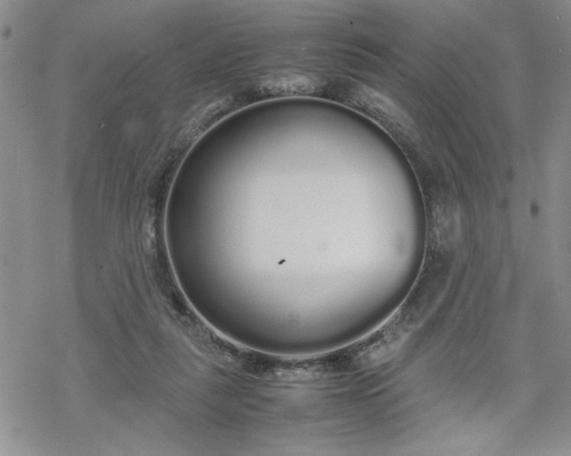 X0000070380259200606121300