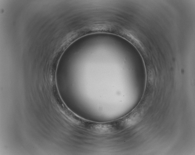 X0000070380261200606121300