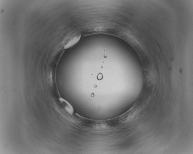 X0000070380262200606121300