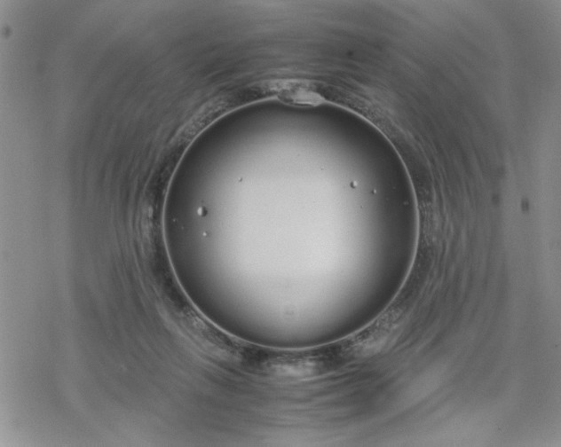 X0000070380263200606121300