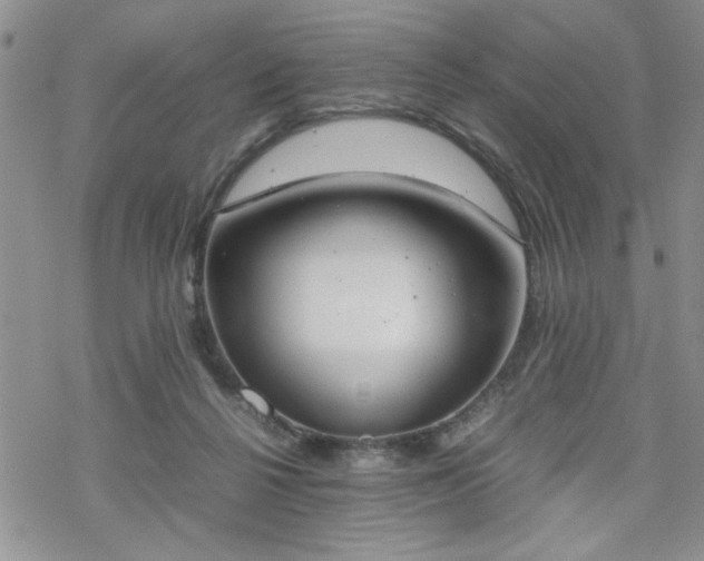 X0000070380264200606121300