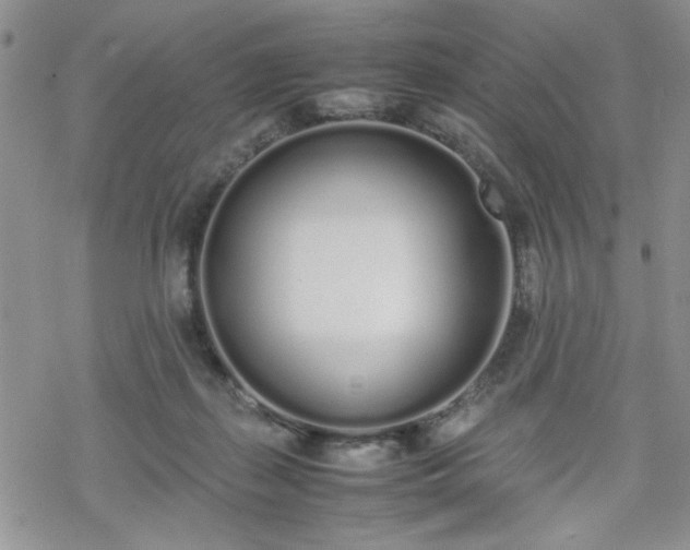 X0000070380267200606121300