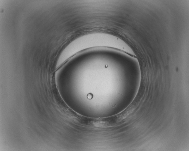 X0000070380268200606121300